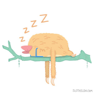 tired,sleeping,zzz,sleep,buenas noches,good night,goodnight,slothilda,exhausted,monday,sleepy,sloth,napping,cute,nope,nap,passing out,funny,sloths,nap time,mondays,over it,give up,pass out,passed out