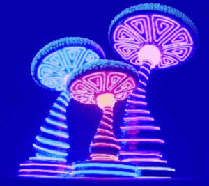 neon,mushrooms,lights,glow,neon lights,art design