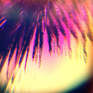 psychedelic,art,glitch,trippy,california,los angeles,the current sea,sarah zucker,cali,thecurrentseala,brian griffith,strobe,palm,thecurrentsea,socal,palm tree,los angeles designer,southern california