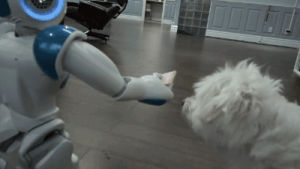 dog,robot
