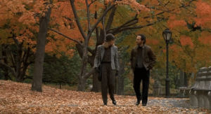 when harry met sally,autumn,fall,leaves,foliage,walk in the park