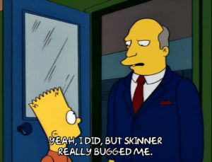 bart simpson,season 5,angry,episode 19,advice,disappointed,listen,5x19,superintendent chalmers,lecture,mischief