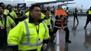 haka,new,world,war,cup,air,rugby,staff,champs,perform,zealand,arrive