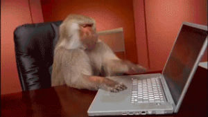 monkey,computer,office monkey,working,laptop,typing,baboon