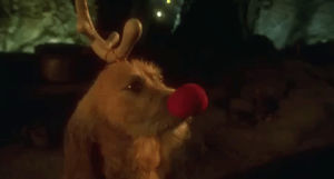 how the grinch stole christmas,christmas movies,jim carrey,2000,ron howard,clown nose