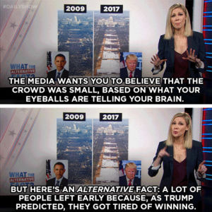 desi lydic,funny,lol,comedy,humor,media,the daily show,daily show,tds,alternative facts