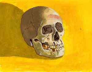painting,art,skull,stilllife