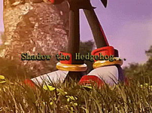 shadow the hedgehog,sonic the hedgehog,sonic,sega,sonic series,sonic the hedgehog series,sonic team,addiction