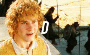 GIF fellowship of the ring - animated GIF on GIFER