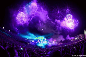 party,tomorrowland,night,dance,day,wild,let