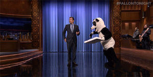 television,animals,food,fallontonight,pizza,panda,tonight show,hashtag,hashtag the panda