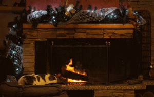 cat,christmas,fire,winter,cinegraph