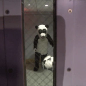 dance,fallontonight,hashtag the panda,040614