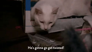 comedy central,workaholics,weed,season 6 episode 3,catnip,get twisted