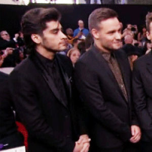 ziam,amas 2014,november 2014,syd the kyd,animals in mirrors