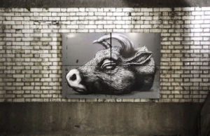 street art,artists on tumblr,loop,animal,london,graffiti,alcrego,cow,windows,eternal loop,bull,a l crego,fiti,roa,axis,death animal,pure evil gallery,iti