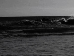 ocean,black and white,nature,waves,own