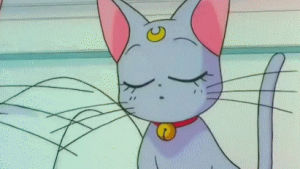 sailor moon,1990s,cat,anime,animal