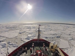 icebreaker,sea,ice,ross,antarctica
