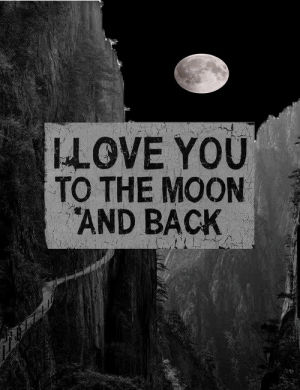 i love you,typography,to the moon and back,moon,black and white,text,textual