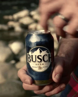 busch,beer
