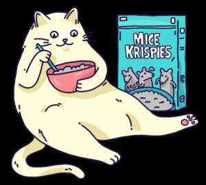porucz,sticker,mice krispies,transparent,cat,kitty,cereal,mice,kicia