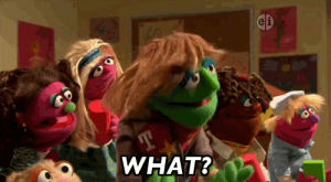 sesame street,what,confused,muppets