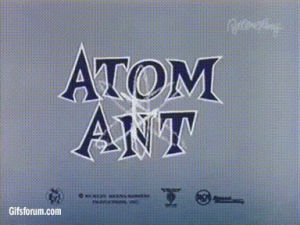 atom,ant