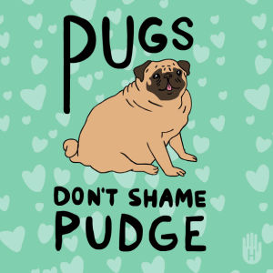 shame,dont,pugs