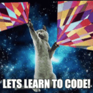 coding,learn to code,code,product hunt