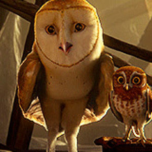 owls,guardians of gahoole,owl,the owls of gahoole,warner,legend of the guardians,movie,animals,cute,blue,2010,orange,zack snyder,warner bros,kathryn lasky,movies
