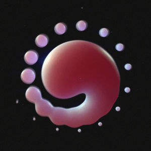 embryo,3d,loop,life,science,creation