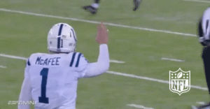 pat mcafee,football,nfl,celebration,colts,indianapolis colts