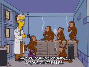 episode 3,science,season 14,smoking,monkeys,14x03,cigarettes