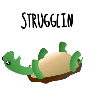 transparent,turtle,struggling,good night,struggle,goodnight,morning,animals,tired,the struggle is real