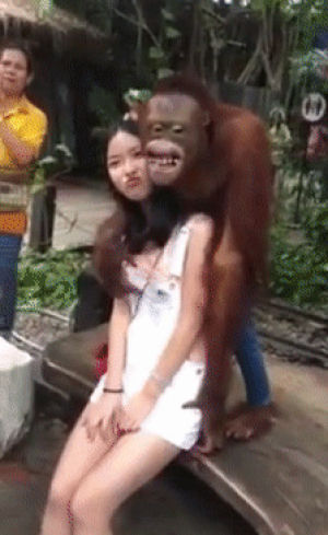 girl,orangutan,jeans,moves