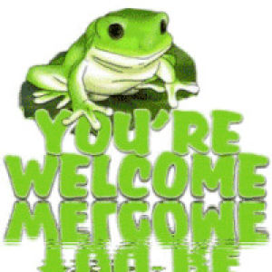 Youre welcome GIF - Find on GIFER