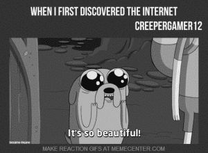 internet,adventure time,jake the dog,fin the human