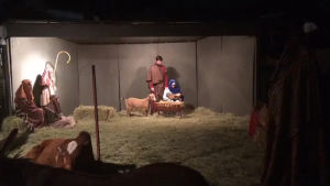 animals being jerks,nativity,scene,goat