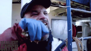 television,reality tv,fish,entertainment,gross,ugh,discovery channel,discovery,deadliest catch,deadliestcatch,bering sea,fishermen,tradition,northwestern,fvnorthwestern