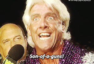 ric flair,wwe,wwf,idontlikewrestling,mr perfect,wrestlingchampions,harleyquinnism,thats a 10,rejecting
