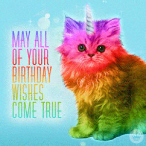 happy birthday cat,happy birthday,birthday,cat,unicorn,happy birthday funny,birthday wishes,unicat,may all your birthday wishes come true,funny,weird,hallmark,kitten,hallmark ecards