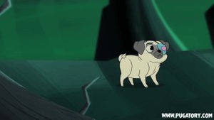 running,dog,fail,ouch,crash,oops,pewdiepie,accident,cutiepie,headbutt,clumsy,pugatory,cute pugs,cute pug,pug fail,not looking,cluts,run into,crash into