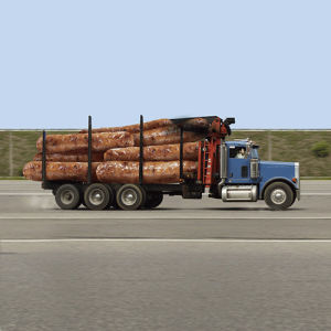 truck driver,highway,breakfast,sausage,logging truck,lol,dennys,justin gammon,justin gammon