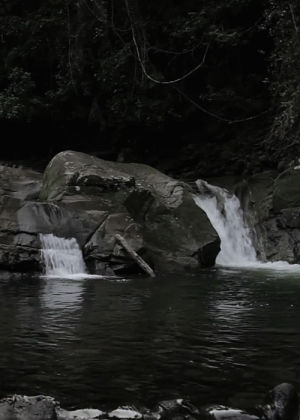 waterfall,photography,nature,australia,allyn river