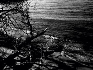 noir,own,black and white,nature,water,bw