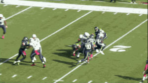 GIF report seahawks bleacher - animated GIF on GIFER