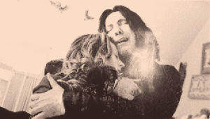 harry potter,harry,snape,lily,dumbledore,deathly hallows
