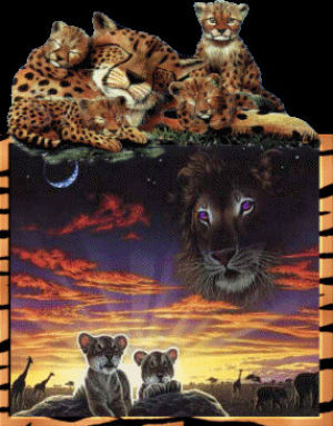 png,lion,puma,cat family pngs,white lion,white tiger,transparent png,transparent,tiger,transparency,render,lisa frank,cheetah,leopard,cougar,big cats,lisa frank png,big cat png,cat family png,mountain lion