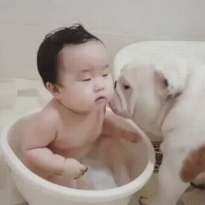 baby,bath,tongue,dog,moment